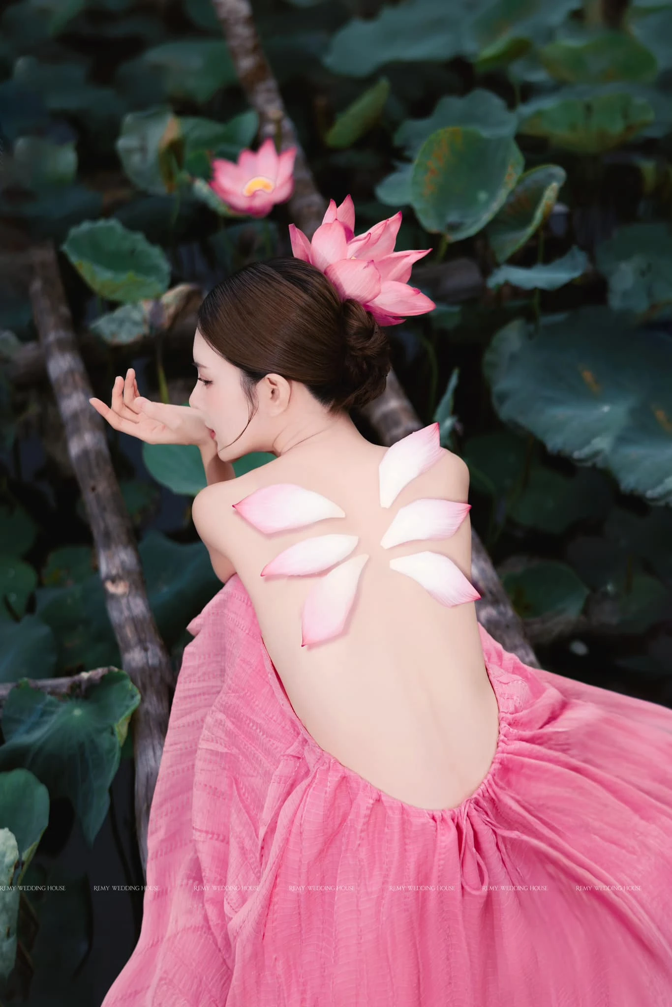 Lilly luta 1