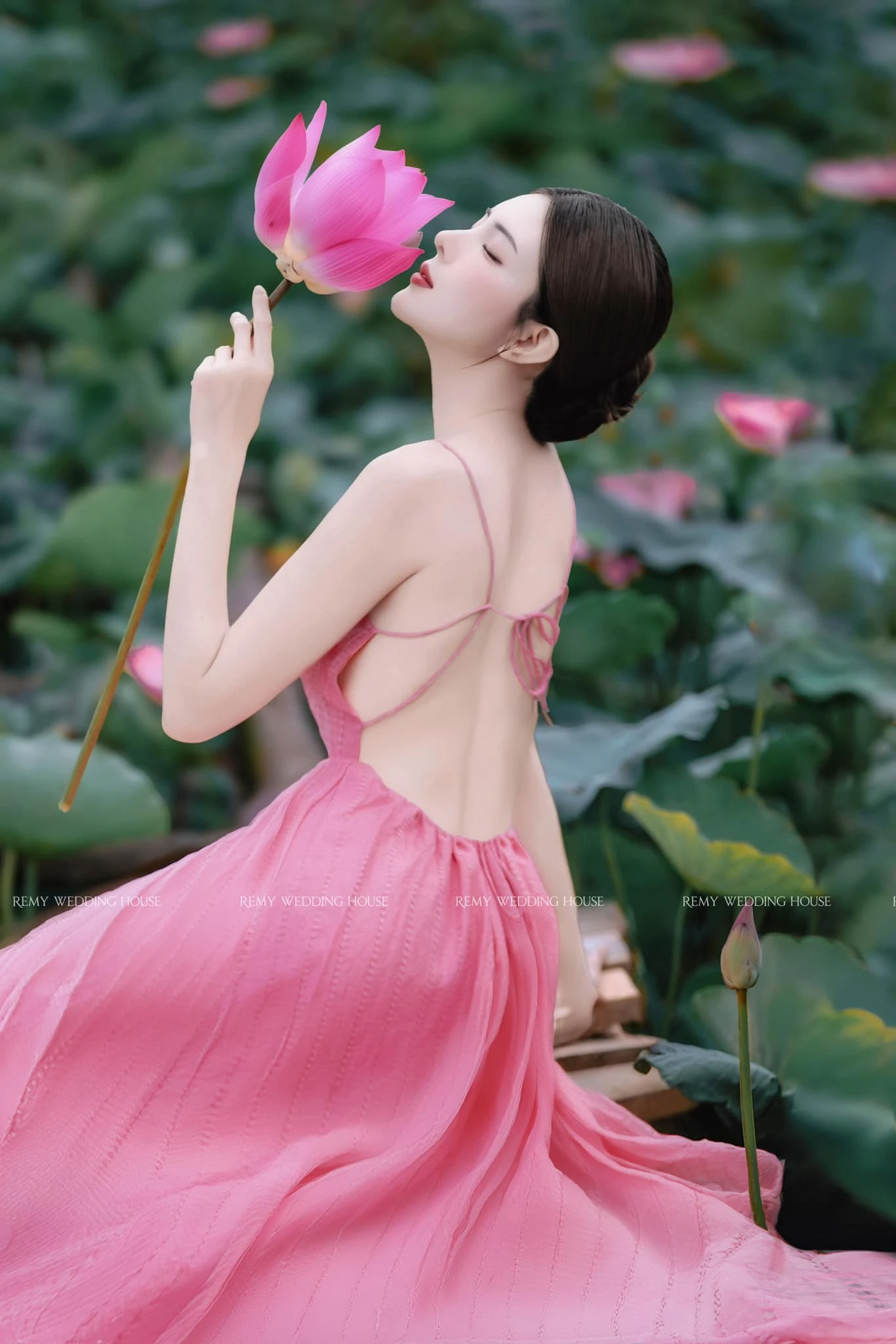 Lilly luta 5